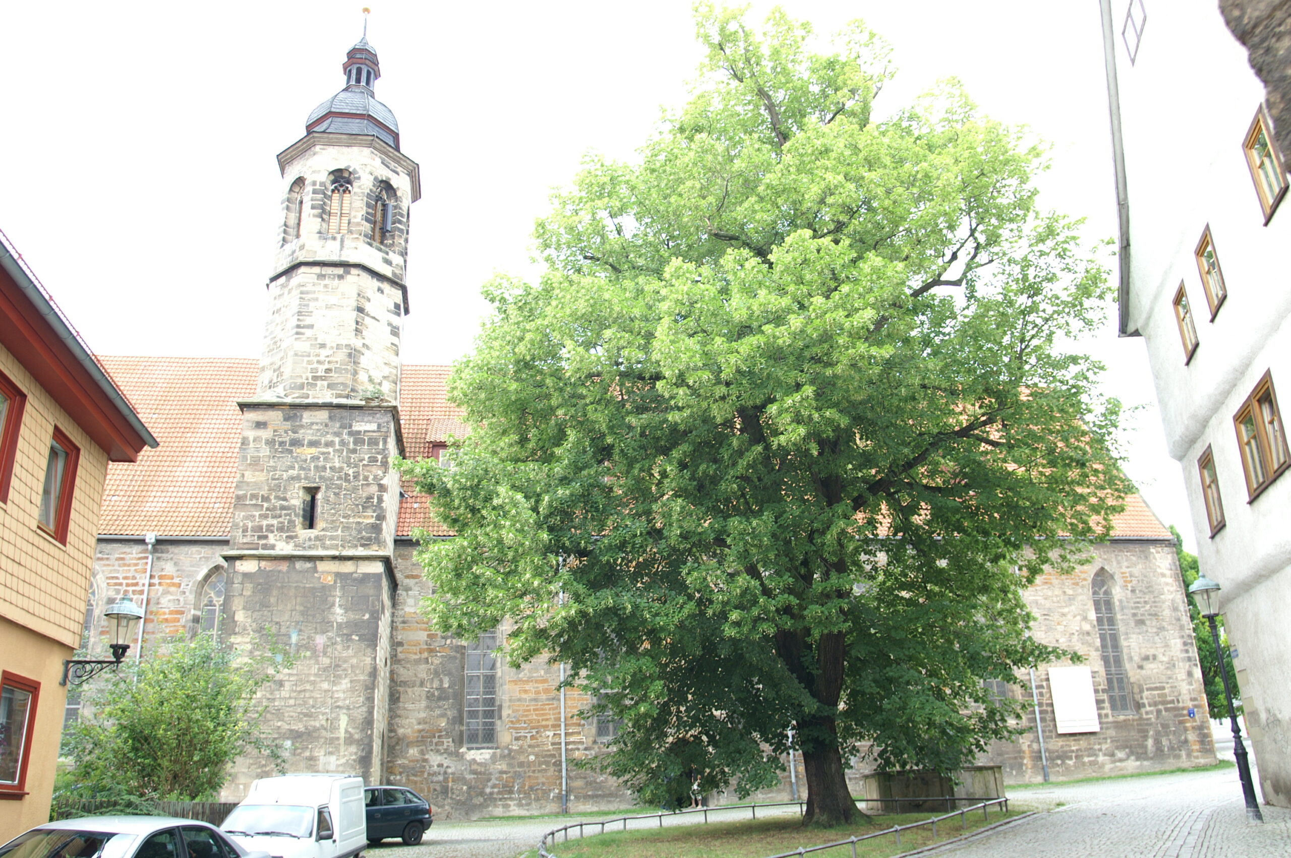 Oberkirche Arnstadt, Ansicht von Norden